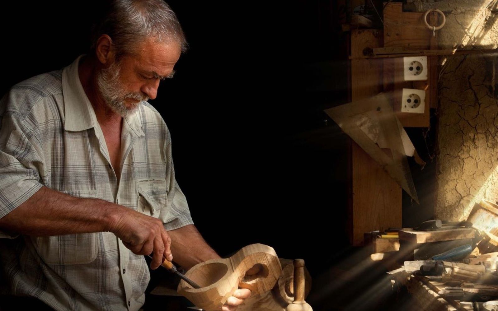iscrizione contemporanea a due albi professionali
