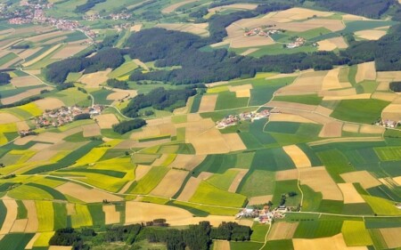 iscrizione contemporanea a due albi professionali