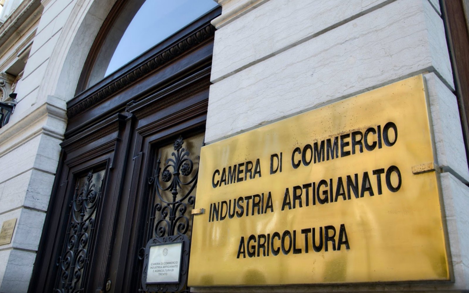 iscrizione contemporanea a due albi professionali