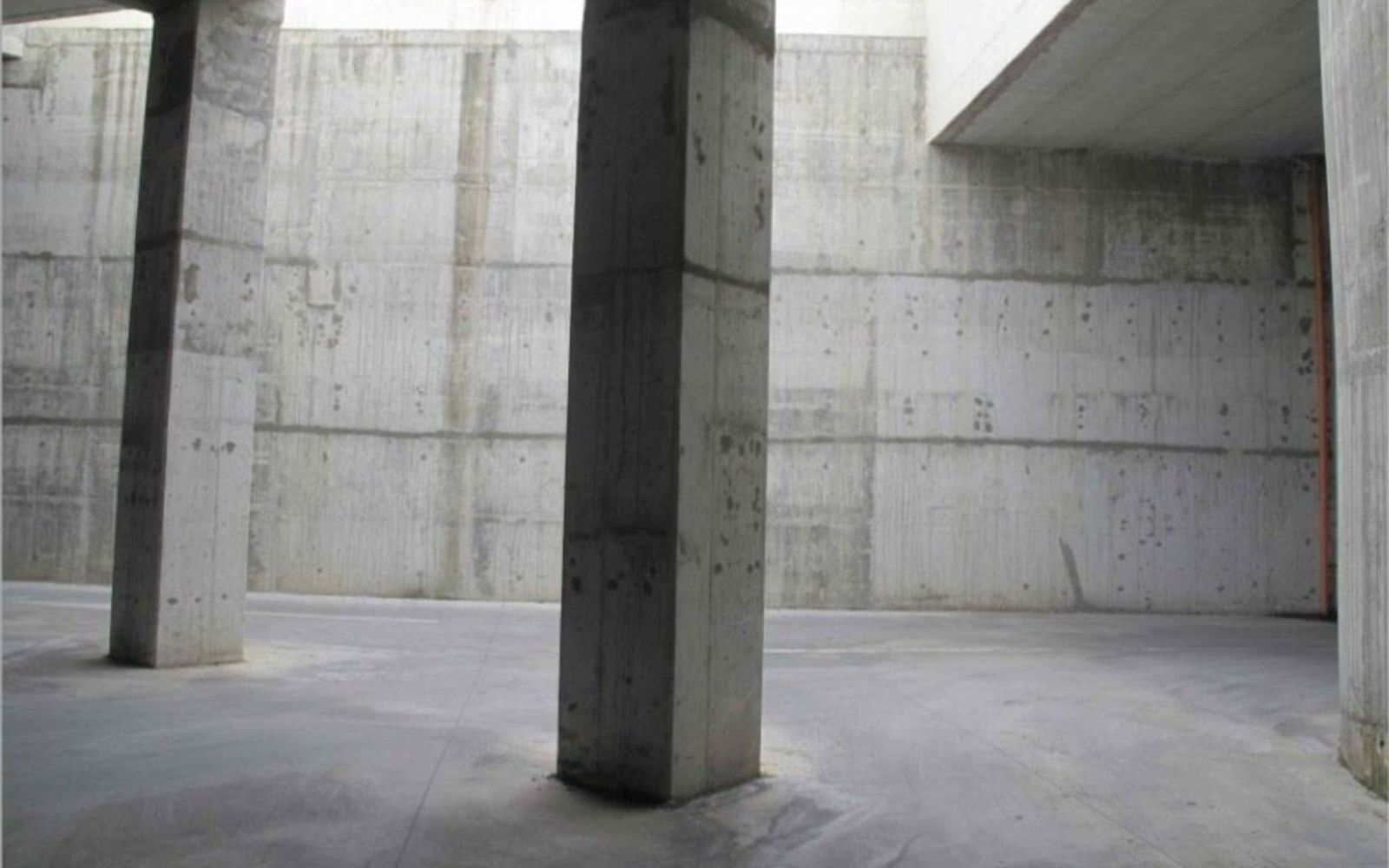 iscrizione contemporanea a due albi professionali