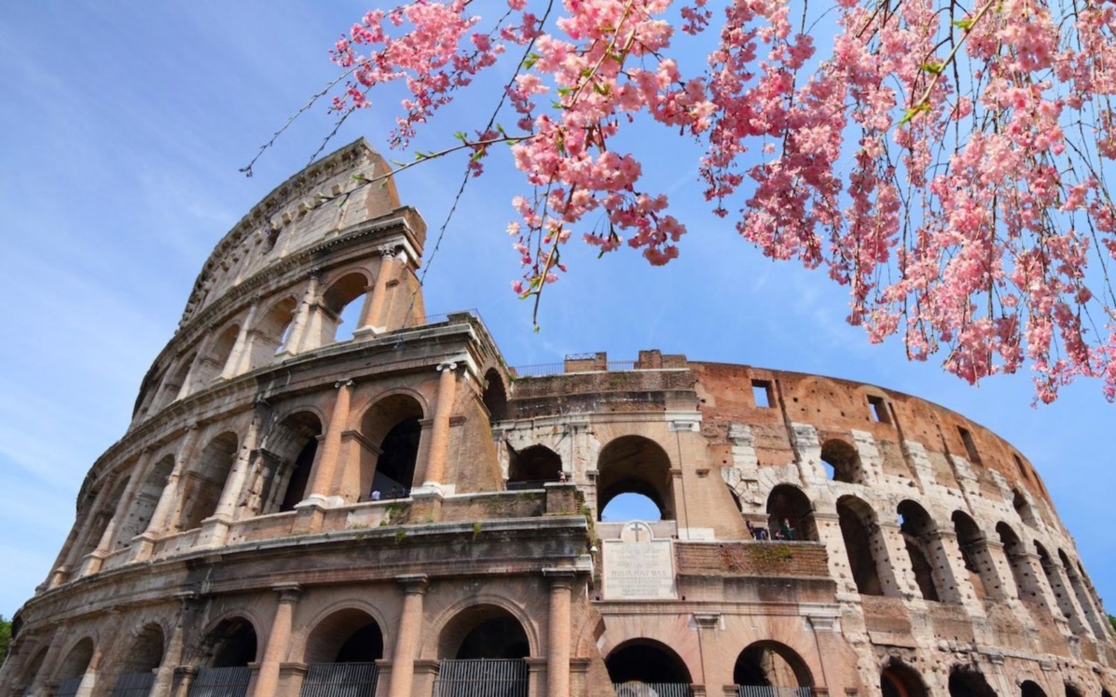 iscrizione contemporanea a due albi professionali
