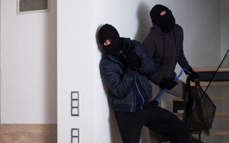 iscrizione contemporanea a due albi professionali