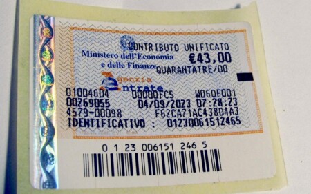 iscrizione contemporanea a due albi professionali