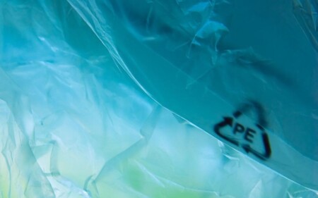 iscrizione contemporanea a due albi professionali