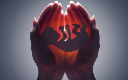 iscrizione contemporanea a due albi professionali