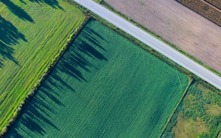 iscrizione contemporanea a due albi professionali