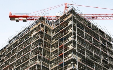 iscrizione contemporanea a due albi professionali