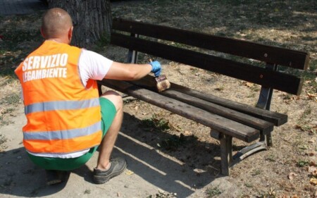 iscrizione contemporanea a due albi professionali