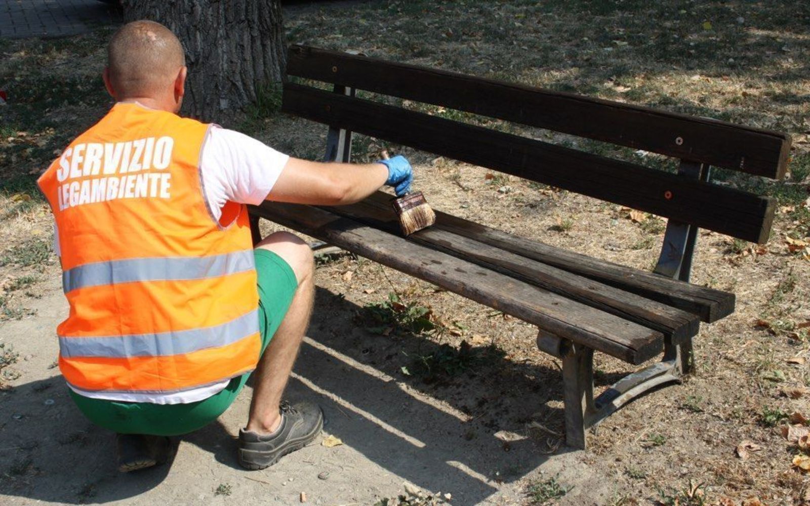 iscrizione contemporanea a due albi professionali