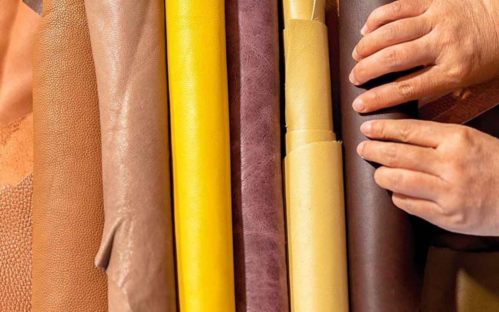 iscrizione contemporanea a due albi professionali