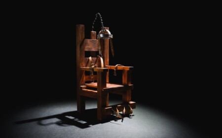 iscrizione contemporanea a due albi professionali