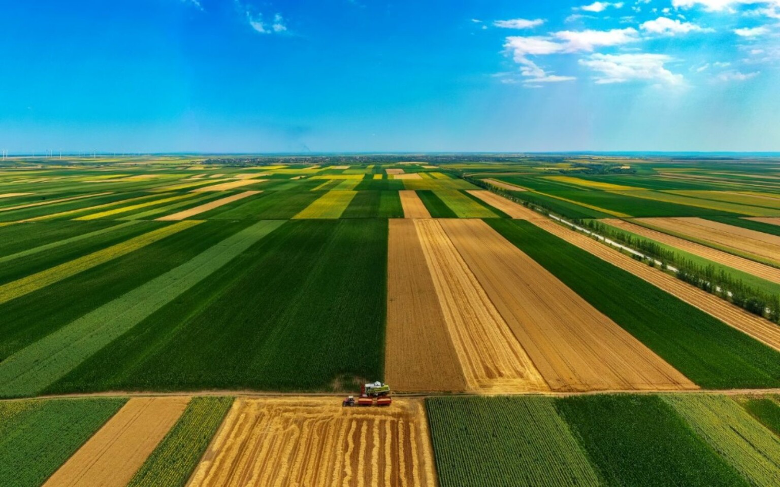 AGGIORNATI I PARAMETRI FORENSI visual data 2