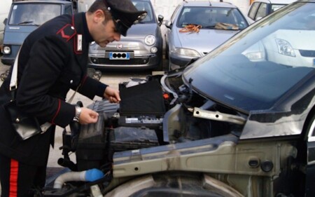 iscrizione contemporanea a due albi professionali