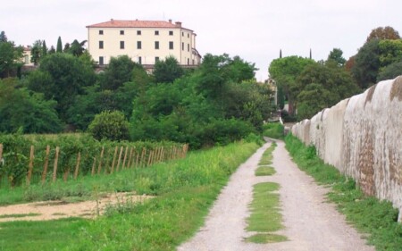iscrizione contemporanea a due albi professionali