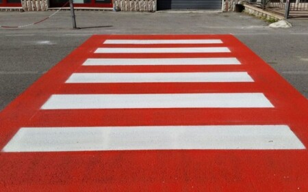 iscrizione contemporanea a due albi professionali