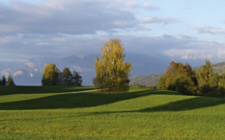 iscrizione contemporanea a due albi professionali