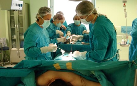 iscrizione contemporanea a due albi professionali