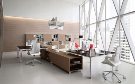 iscrizione contemporanea a due albi professionali